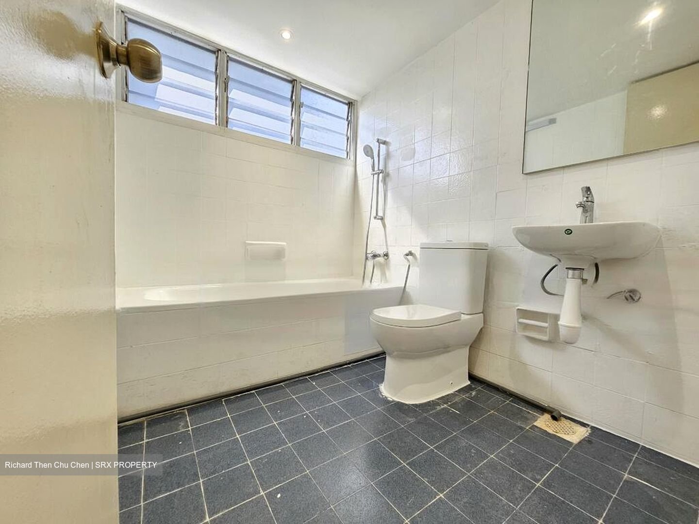 Dunearn Road (D11), Condominium #456269601
